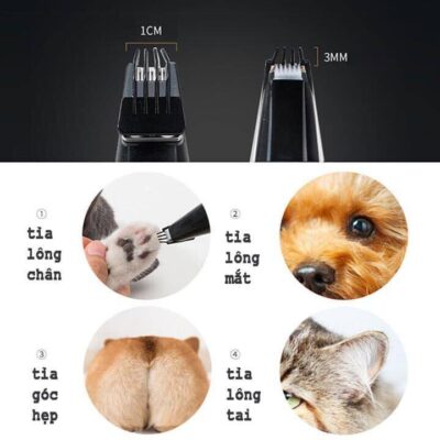 tông đơ cạo lông mèo
