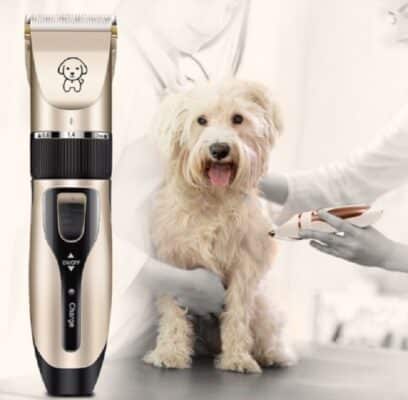 tông đơ cắt lông chó Poodle